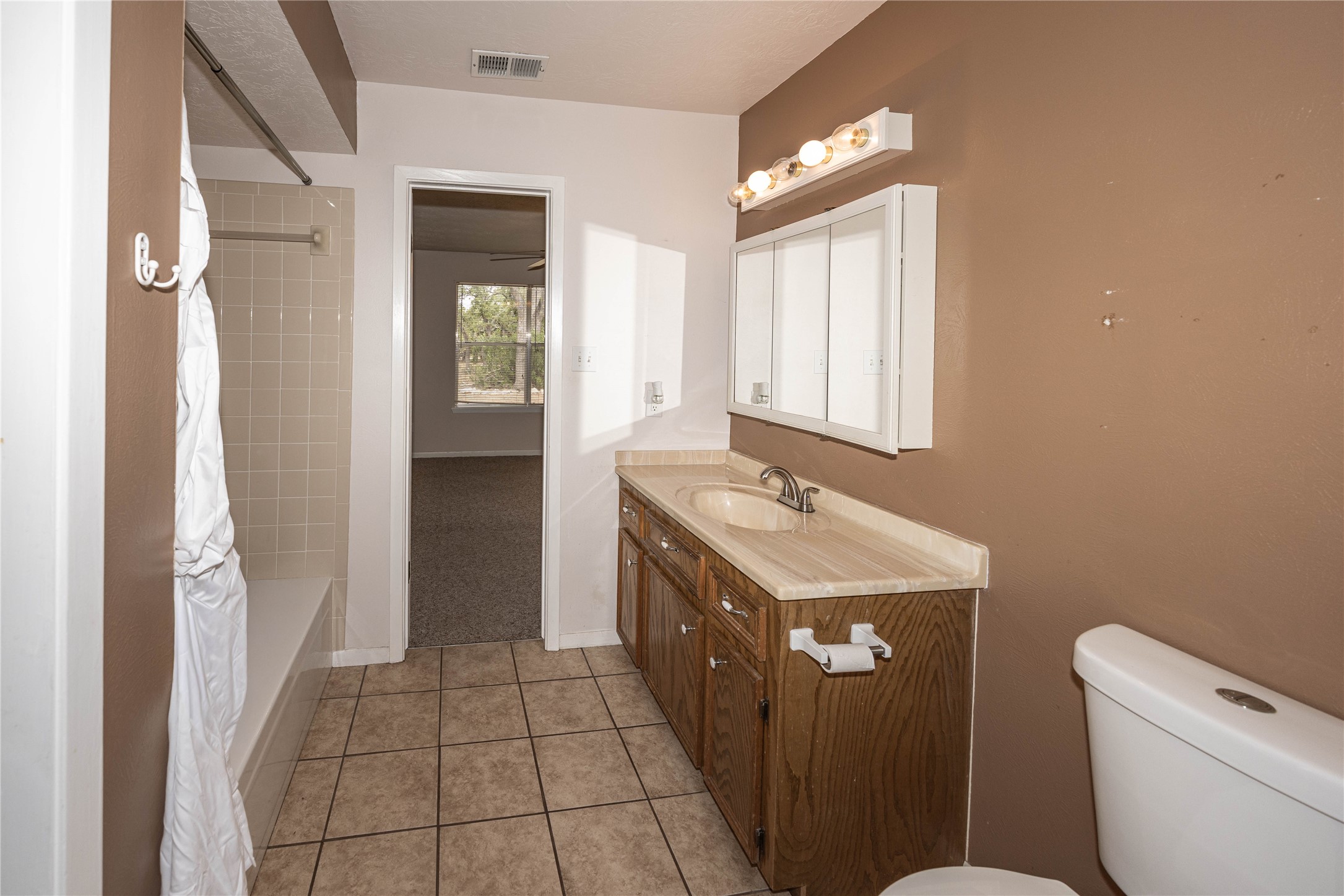 2501 Fischer Store Road Wimberley, TX 78676 - Photo 8 of 23 Bathroom featuring a wood-finish vanity with an integrated sink and light-toned countertop