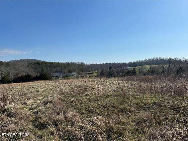 174 Stanley Bates Road Lancing, TN 37770 - Photo 8 of 23 image006