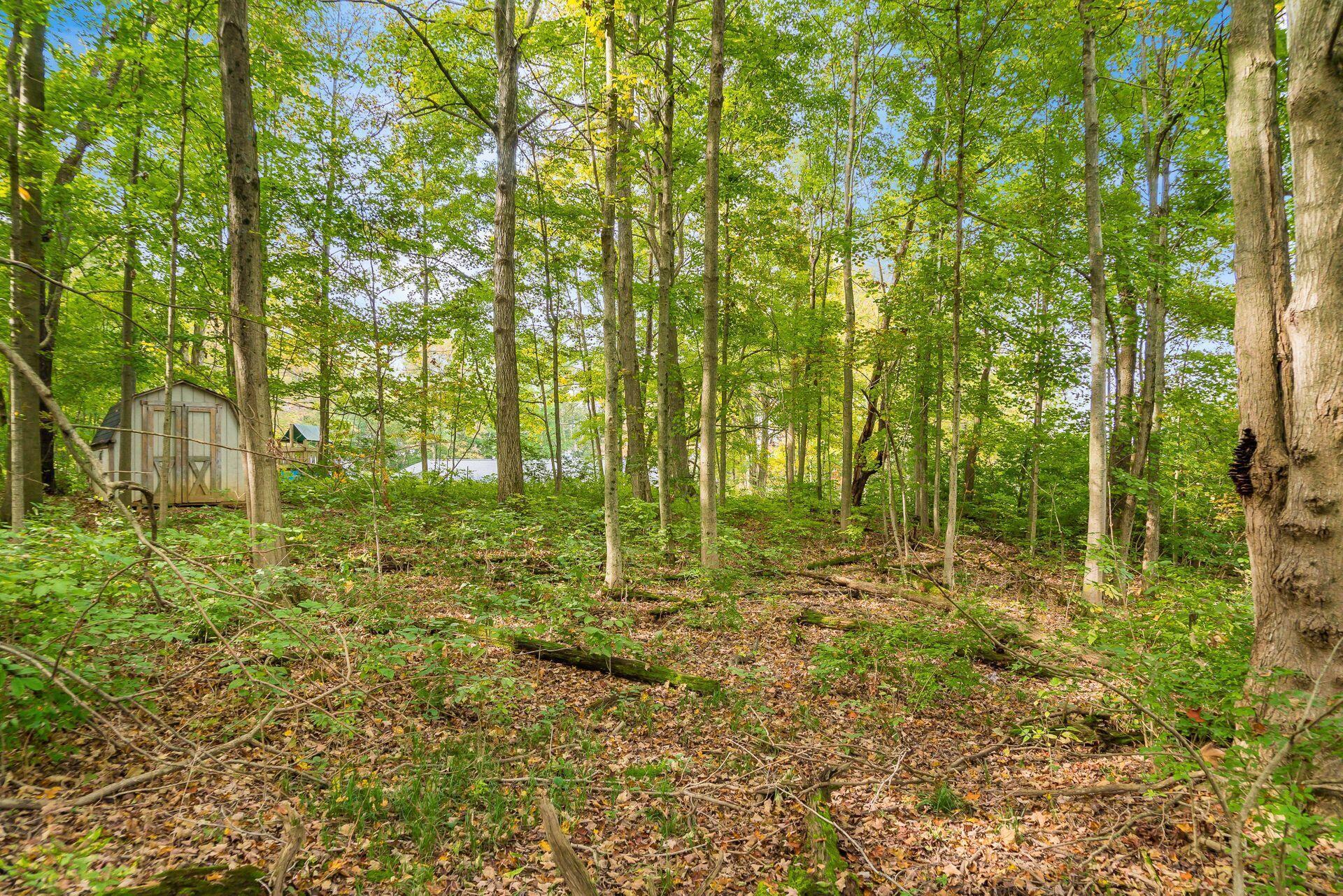 6181 Riverside Drive Powell, OH 43065 - Photo 54 of 62 Gallery Image 54