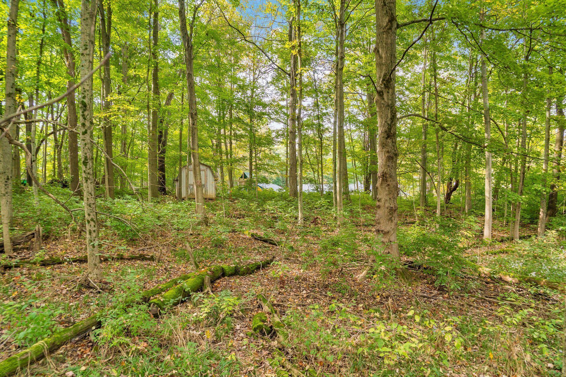 6181 Riverside Drive Powell, OH 43065 - Photo 55 of 62 Gallery Image 55