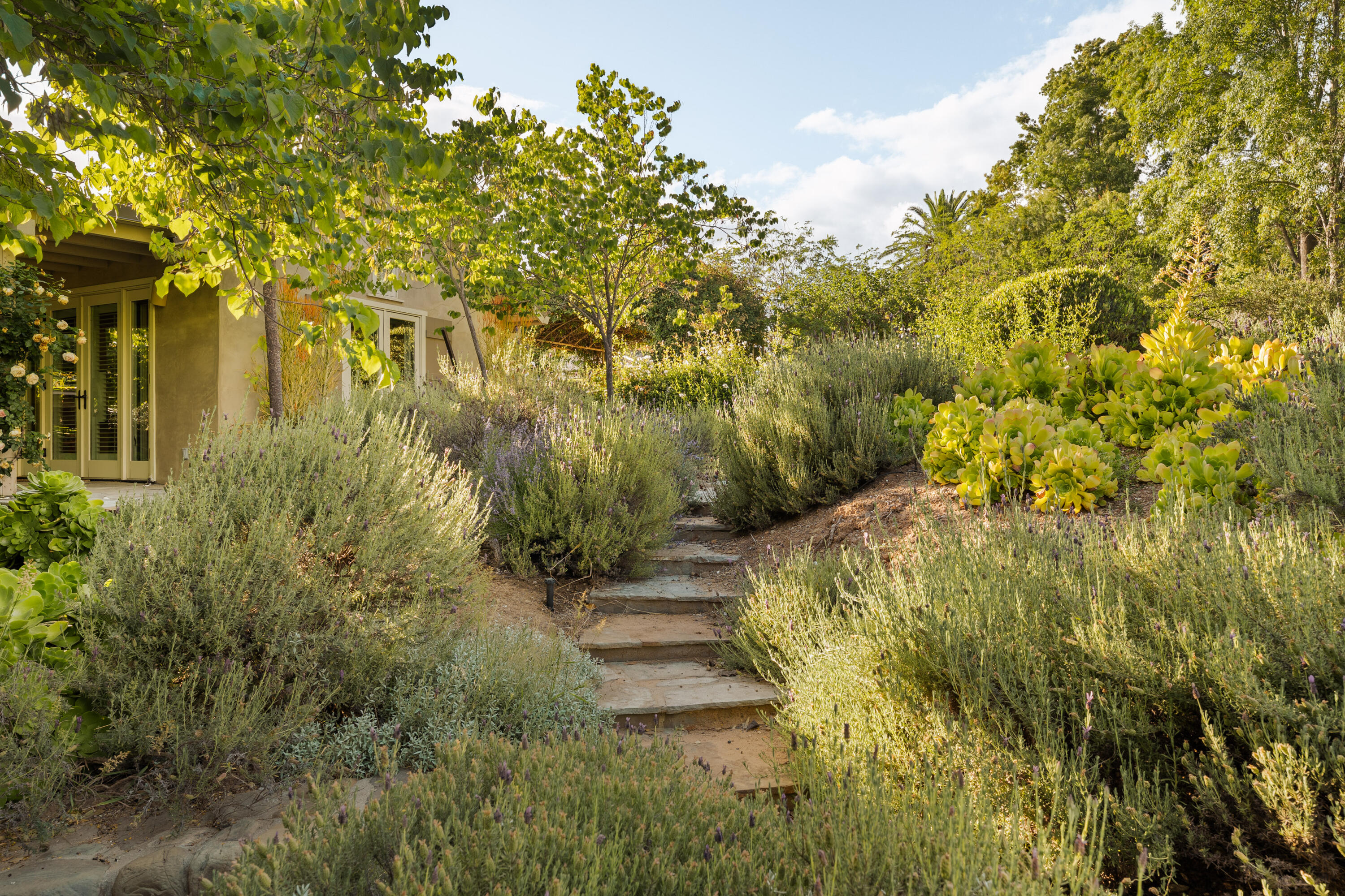 813 Country Club Road Ojai, CA 93023 - Photo 18 of 31 lavender Gardens