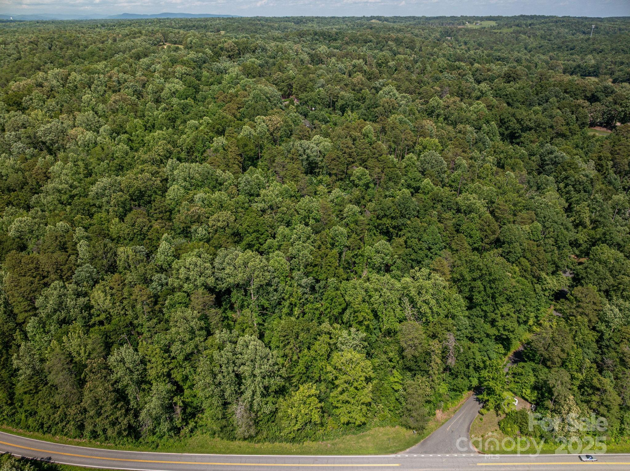 Lot 160 Coxe Road Rutherfordton, NC 28139 - Photo 11 of 19 an aerial view of residential houses with outdoor space and trees in the background