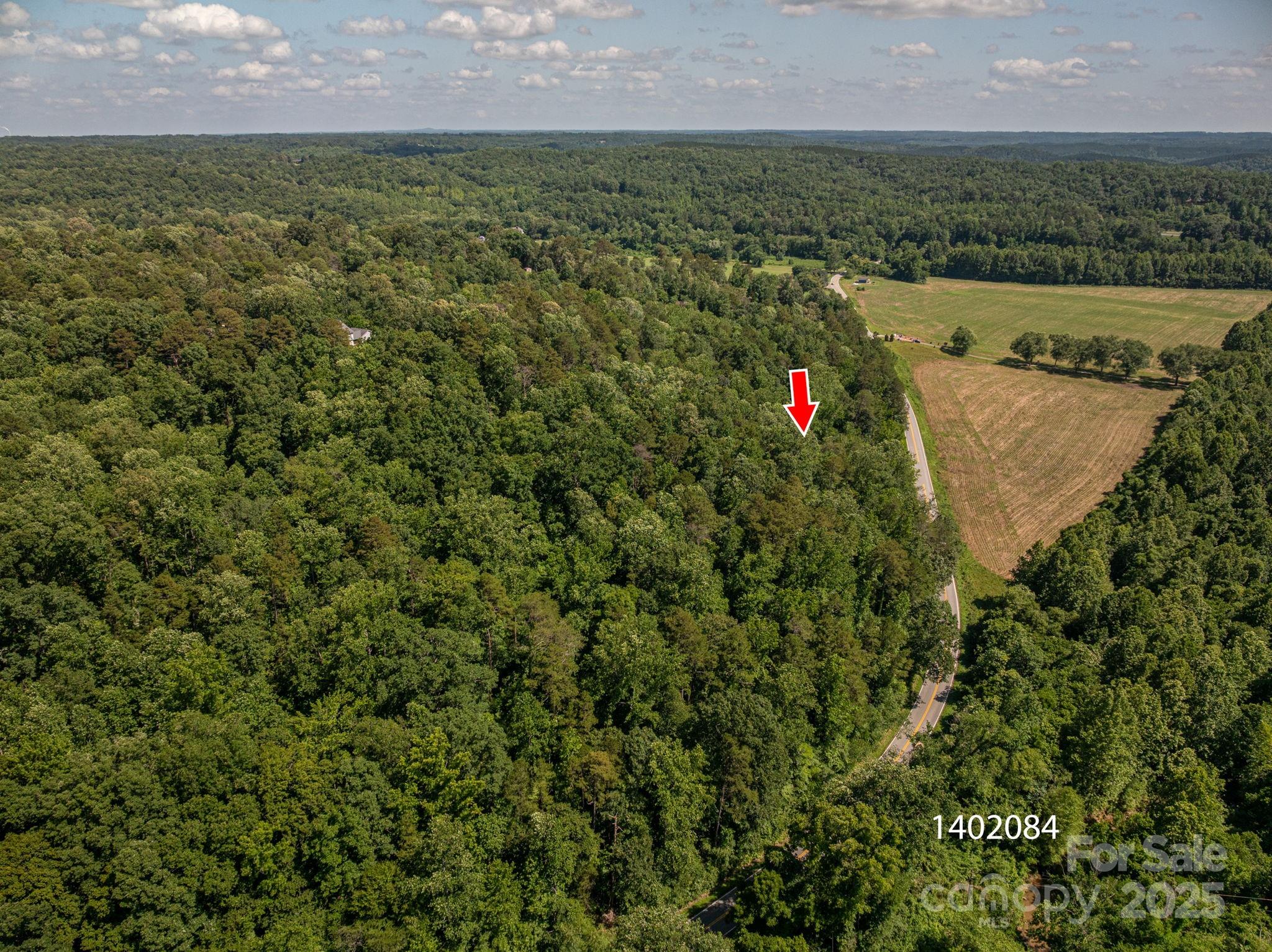 Lot 160 Coxe Road Rutherfordton, NC 28139 - Photo 18 of 19 an aerial view of residential houses with outdoor space and trees