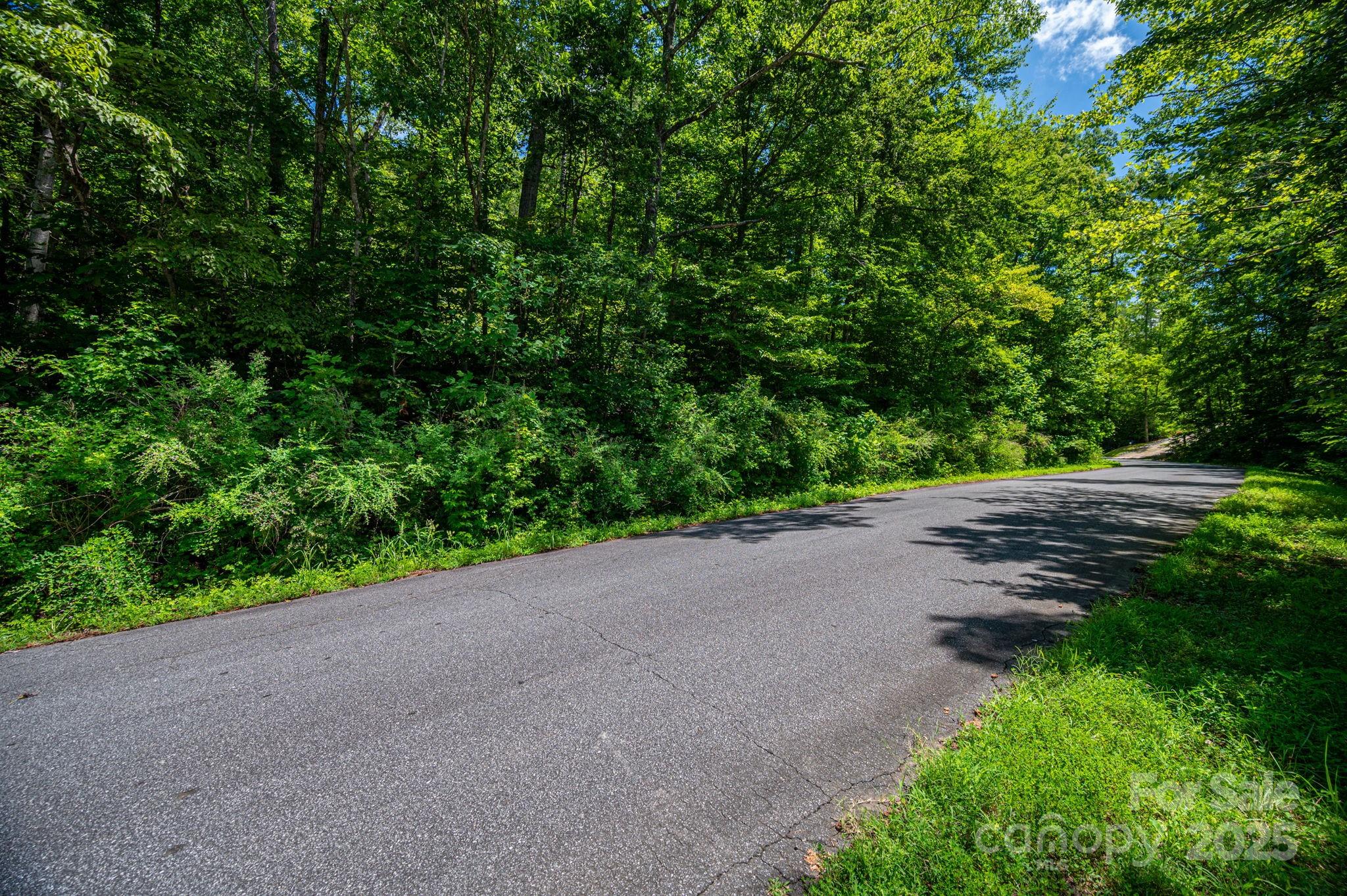 Lot 160 Coxe Road Rutherfordton, NC 28139 - Photo 2 of 19 a view of a road with a yard