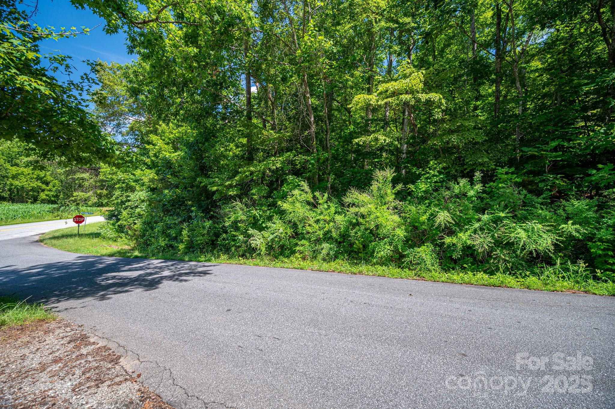 Lot 160 Coxe Road Rutherfordton, NC 28139 - Photo 5 of 19 a view of a road with plants and trees in the background