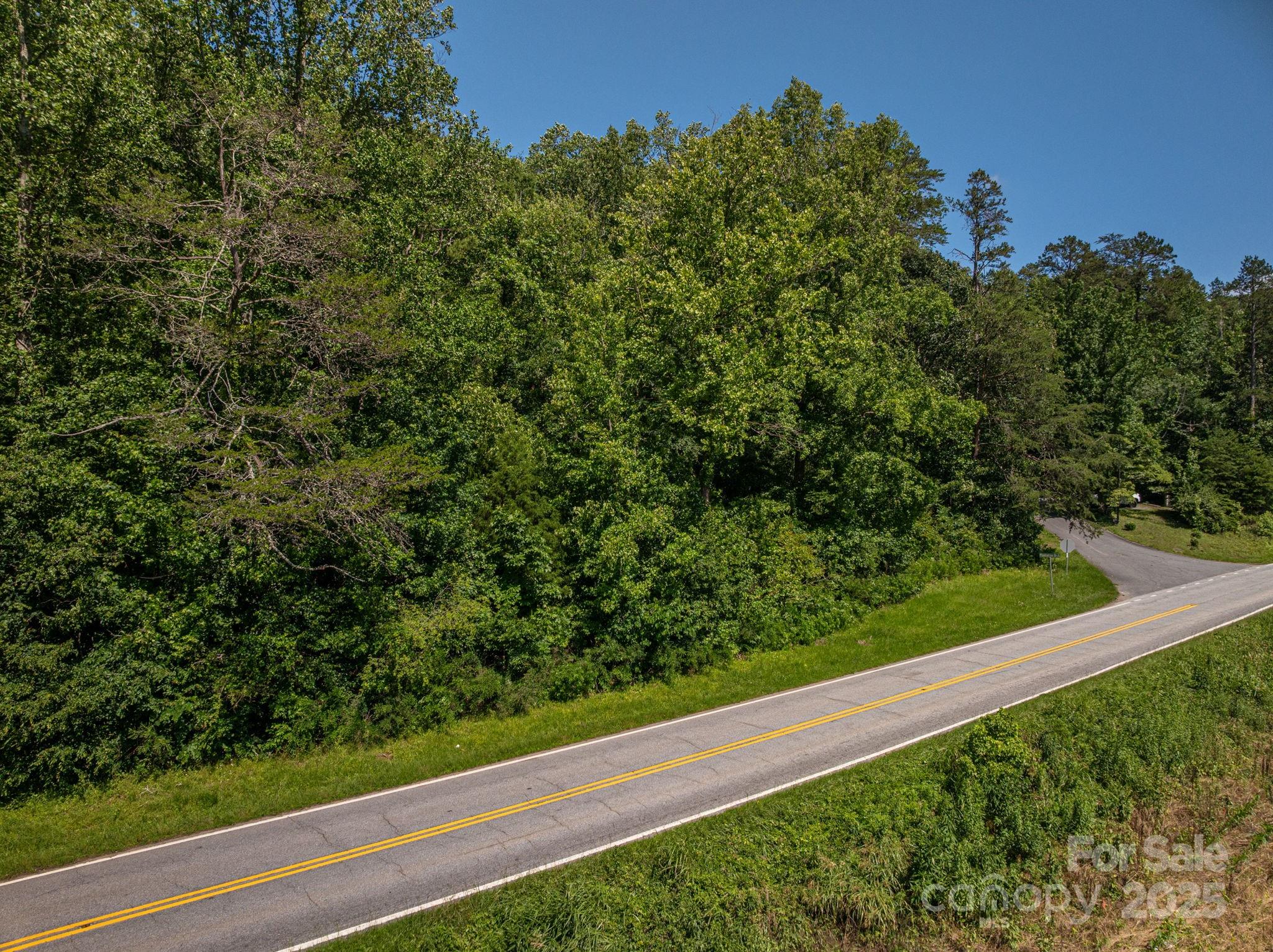 Lot 160 Coxe Road Rutherfordton, NC 28139 - Photo 6 of 19 a view of a yard with plants