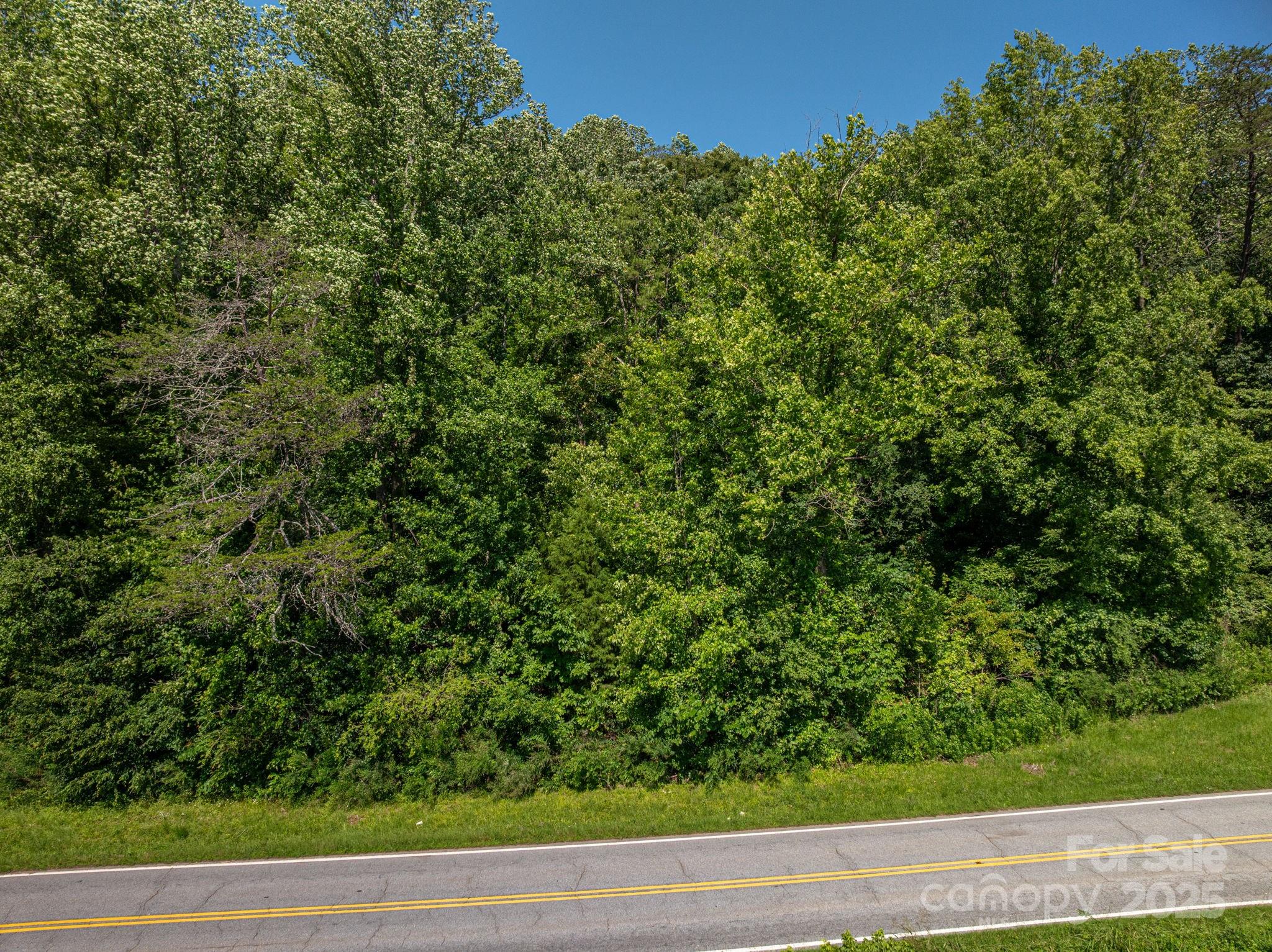 Lot 160 Coxe Road Rutherfordton, NC 28139 - Photo 7 of 19