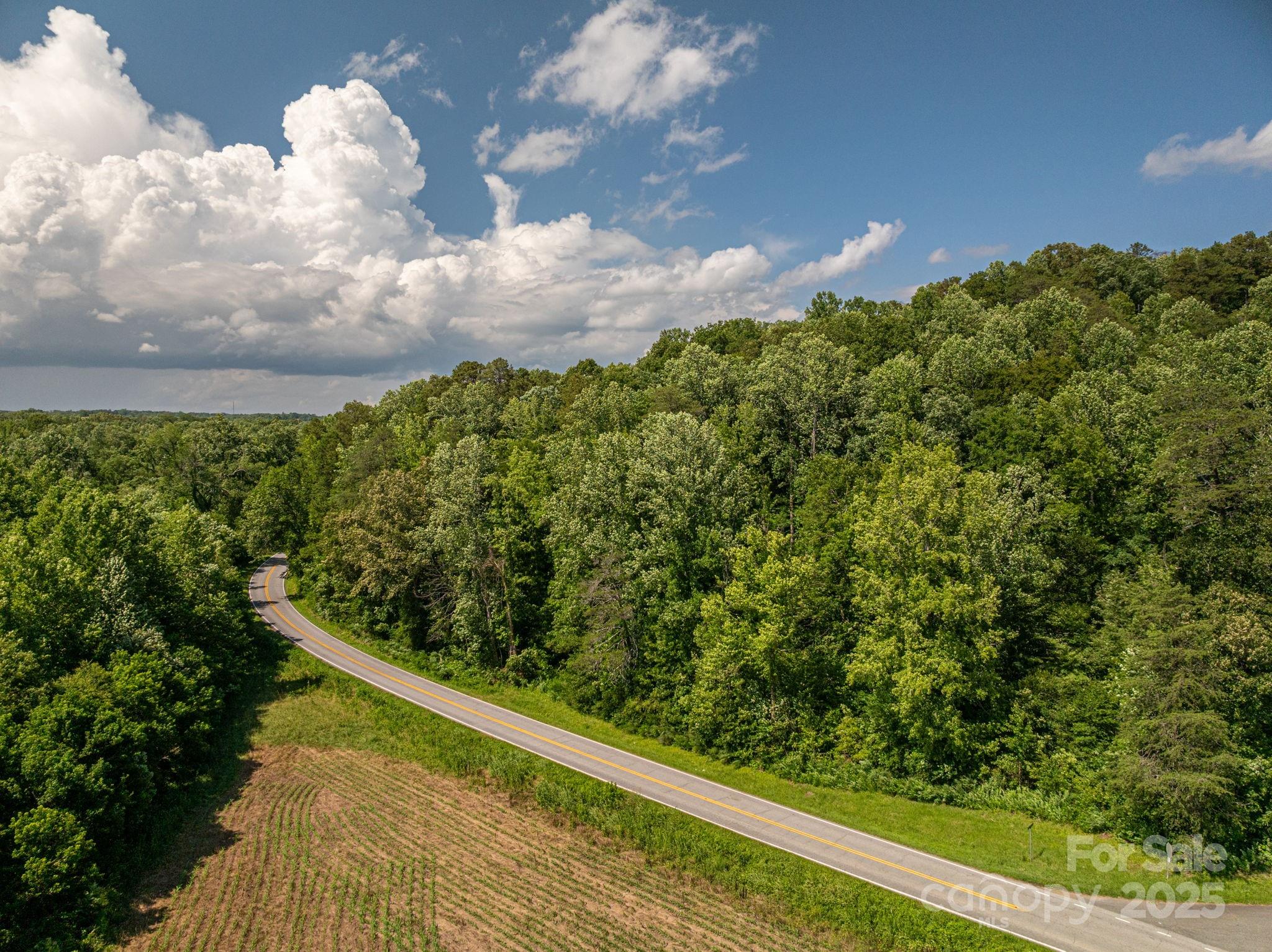 Lot 160 Coxe Road Rutherfordton, NC 28139 - Photo 8 of 19 a view of a yard