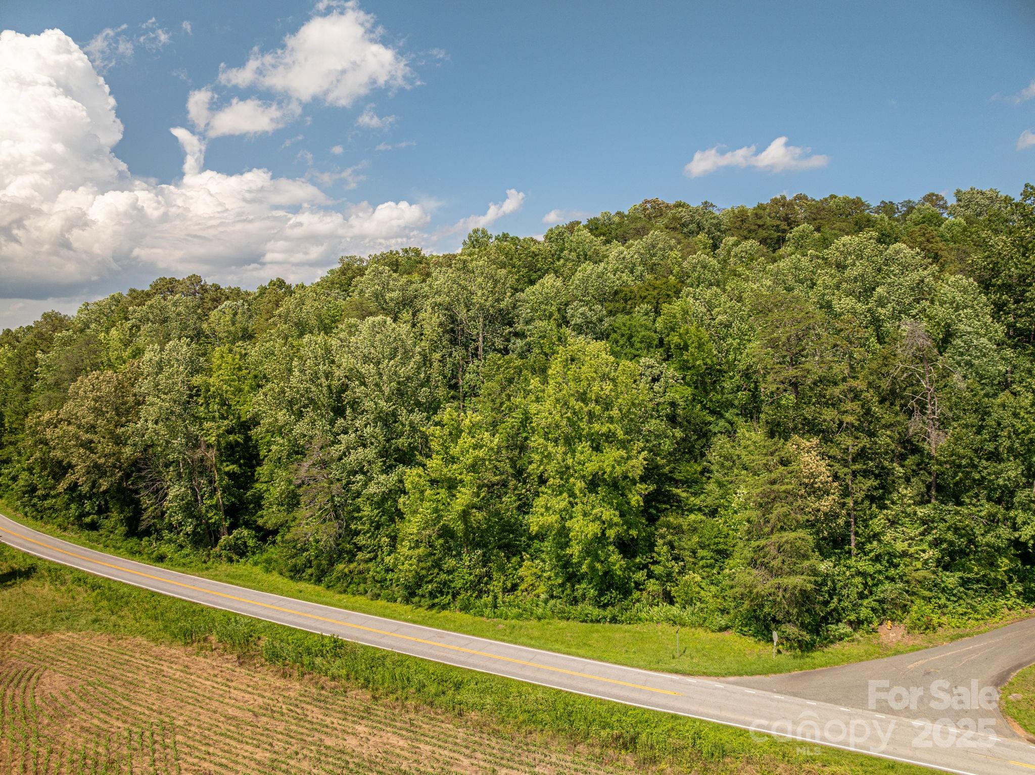 Lot 160 Coxe Road Rutherfordton, NC 28139 - Photo 9 of 19 a view of a yard