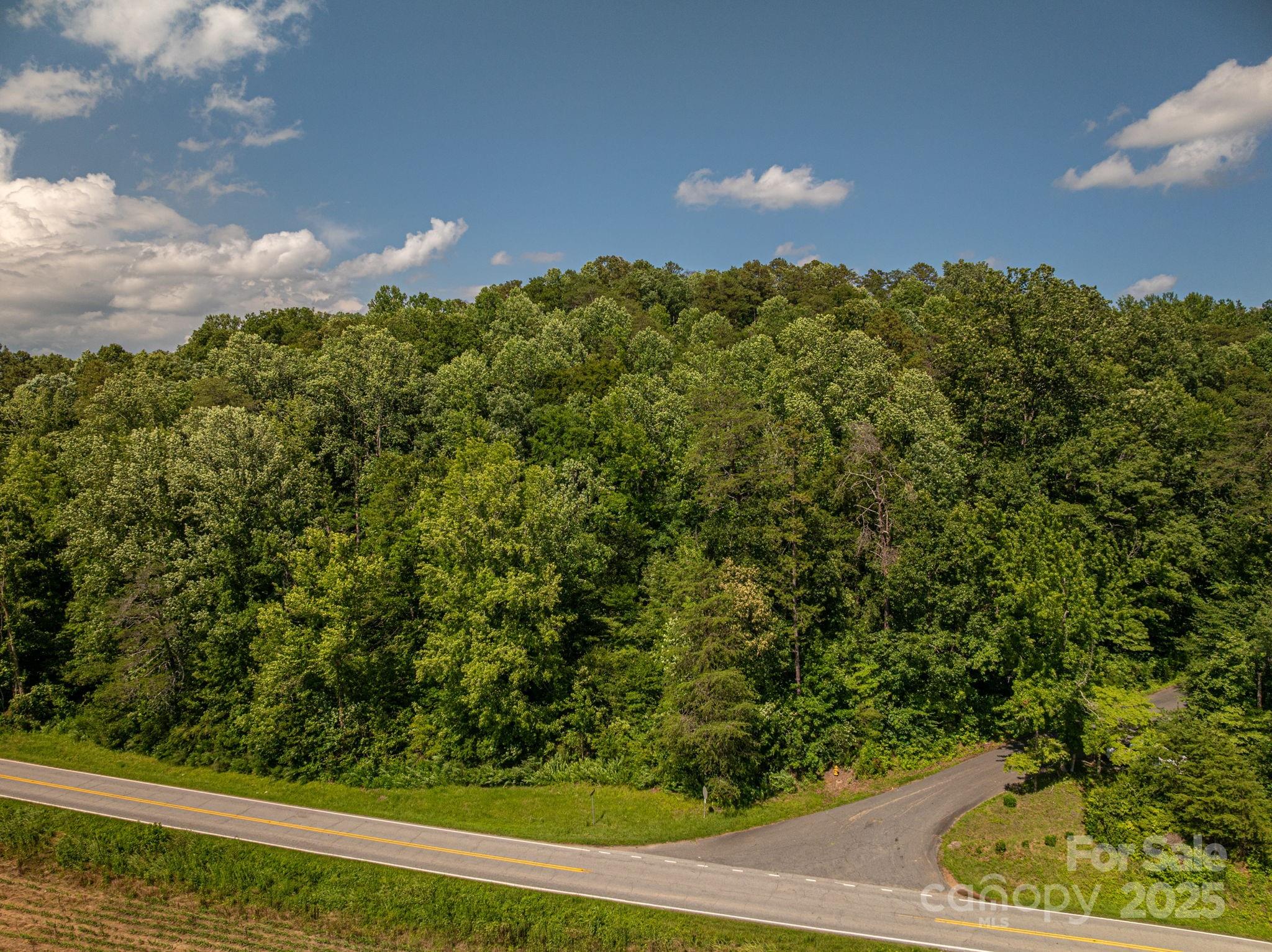 Lot 160 Coxe Road Rutherfordton, NC 28139 - Photo 10 of 19 a view of a yard