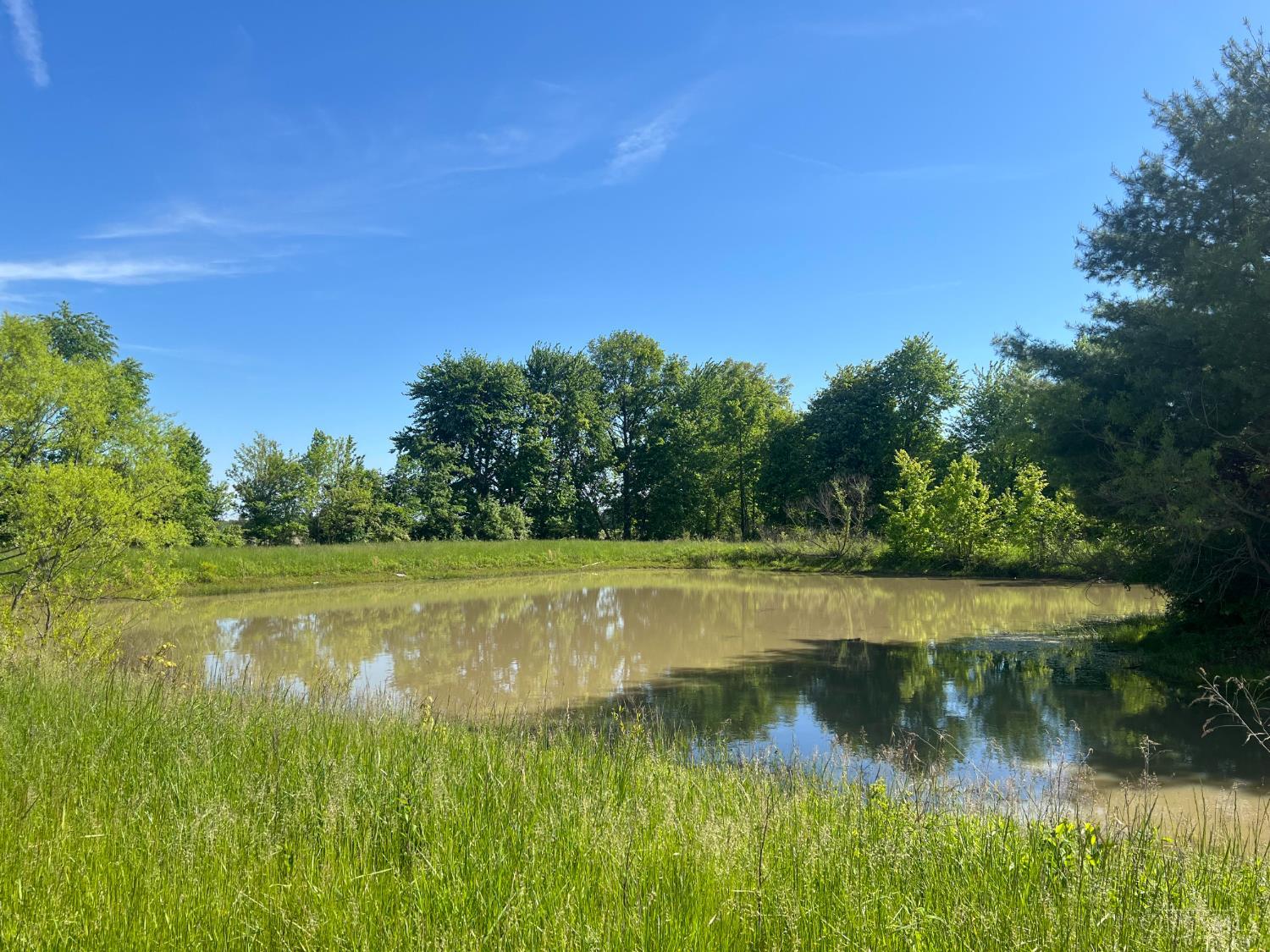 597 Haynes Road Blanchester, OH 45107 - Photo 8 of 9