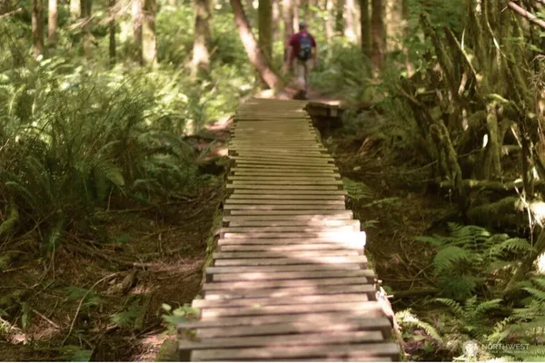 a view of pathway along with trees