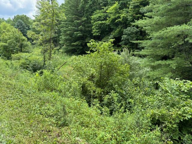 0 Mayers Road Booneville, KY 41314 - Photo 3 of 6 3