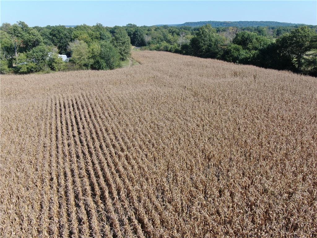 2000th Road Lacygne, KS 66040 - Photo 3 of 6