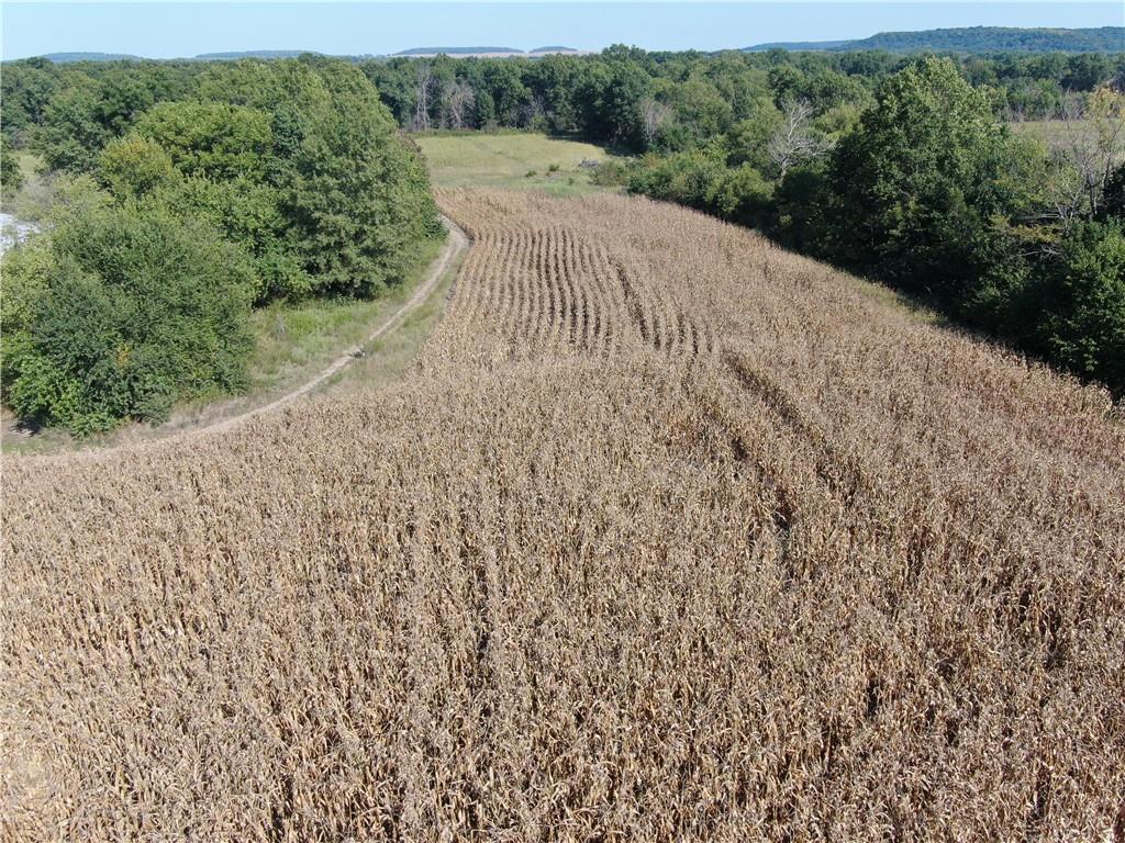 2000th Road Lacygne, KS 66040 - Photo 4 of 6