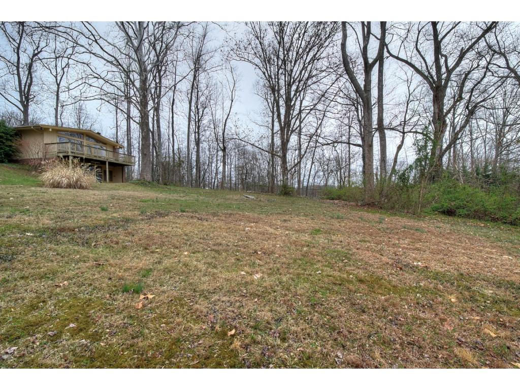 112 Ridgemont Road Johnson City, TN 37601 - Photo 22 of 29 Photo 23