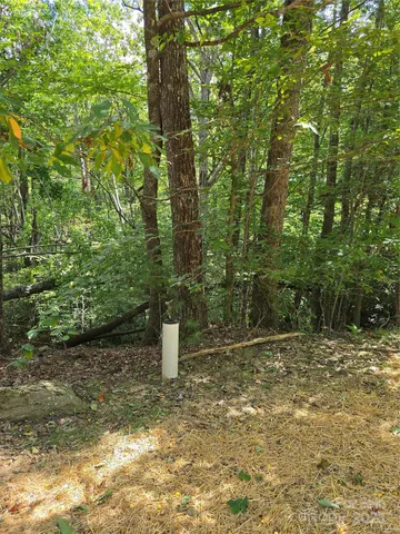 a view of a yard with trees