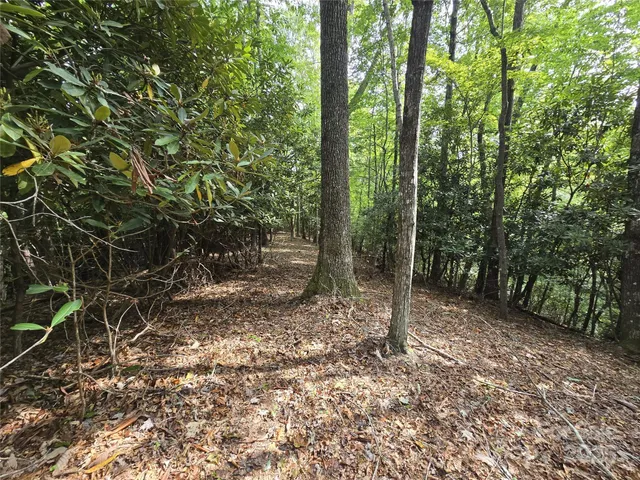 a view of a lake with a mountain