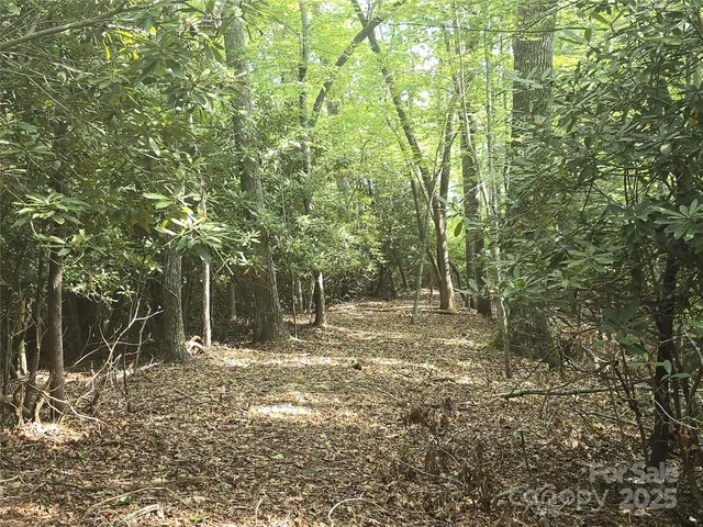 a view of outdoor space and deck