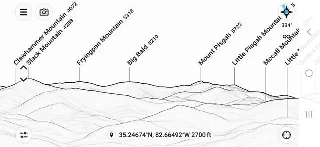 a picture of a tree in a center of a room