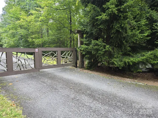 a view of a yard with plants and large trees
