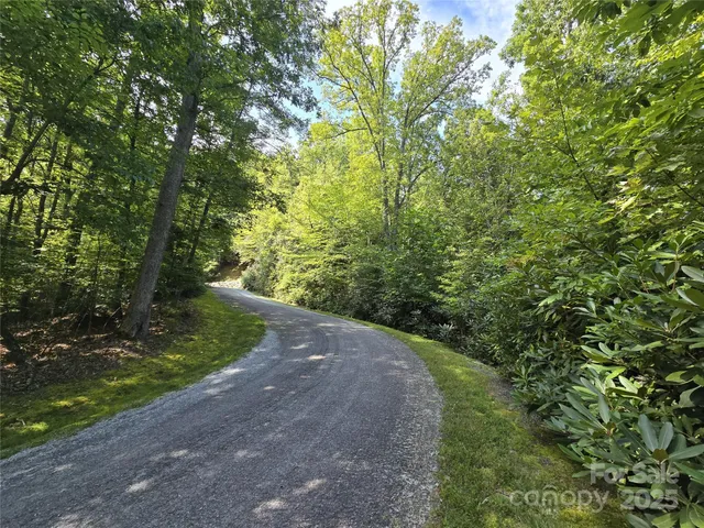 a view of a lush green field with a mountain in the background