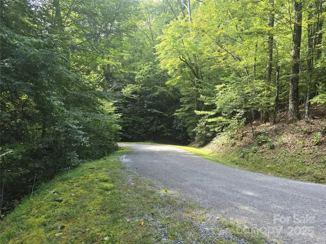 a view of a bunch of trees
