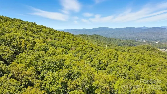 a view of a large yard with lots of green space