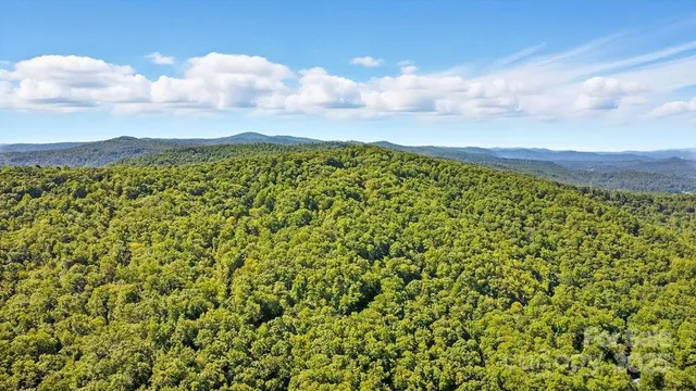 an aerial view of a house with a lake view