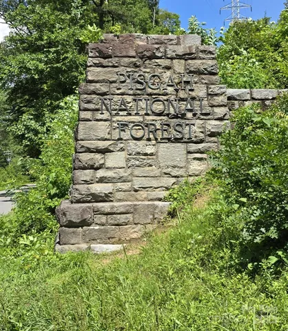 a view of swimming pool from a lake