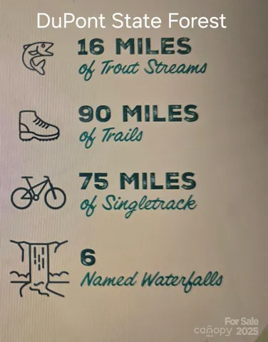 a view of a garden with plants