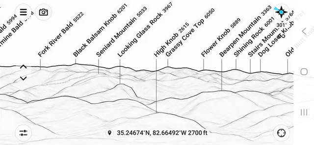 a picture of a room with lots of flowers