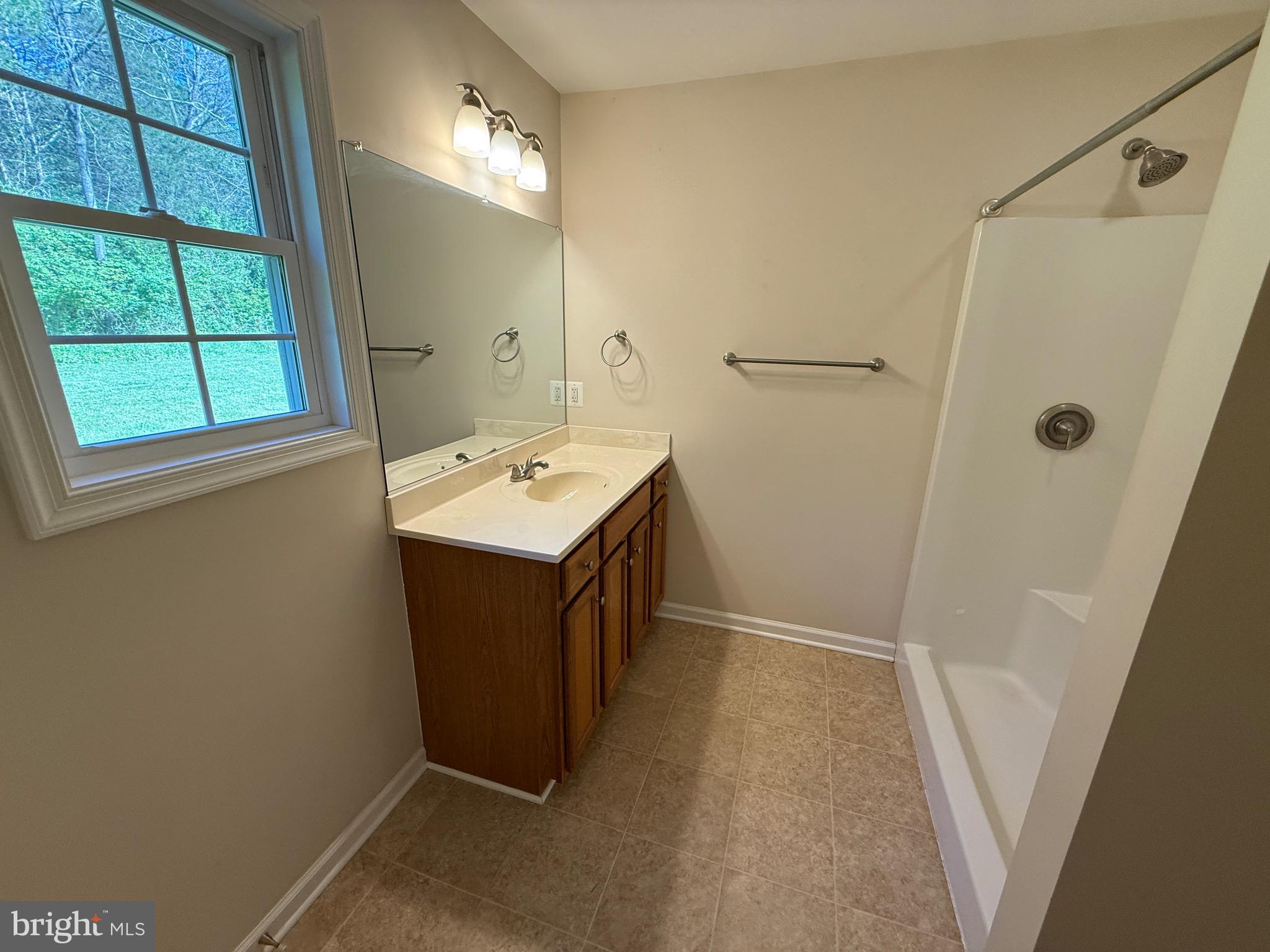 145 Lake Ridge Road Strasburg, VA 22657 - Photo 17 of 23 Primary bathroom with shower