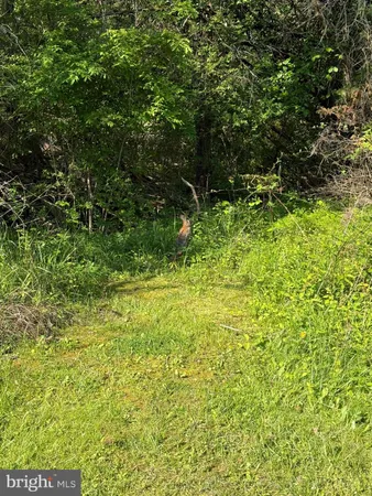$2,100 | 145 Lake Ridge Road, Strasburg, VA 22657