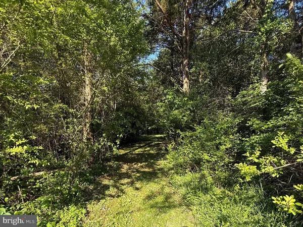 $2,100 | 145 Lake Ridge Road, Strasburg, VA 22657