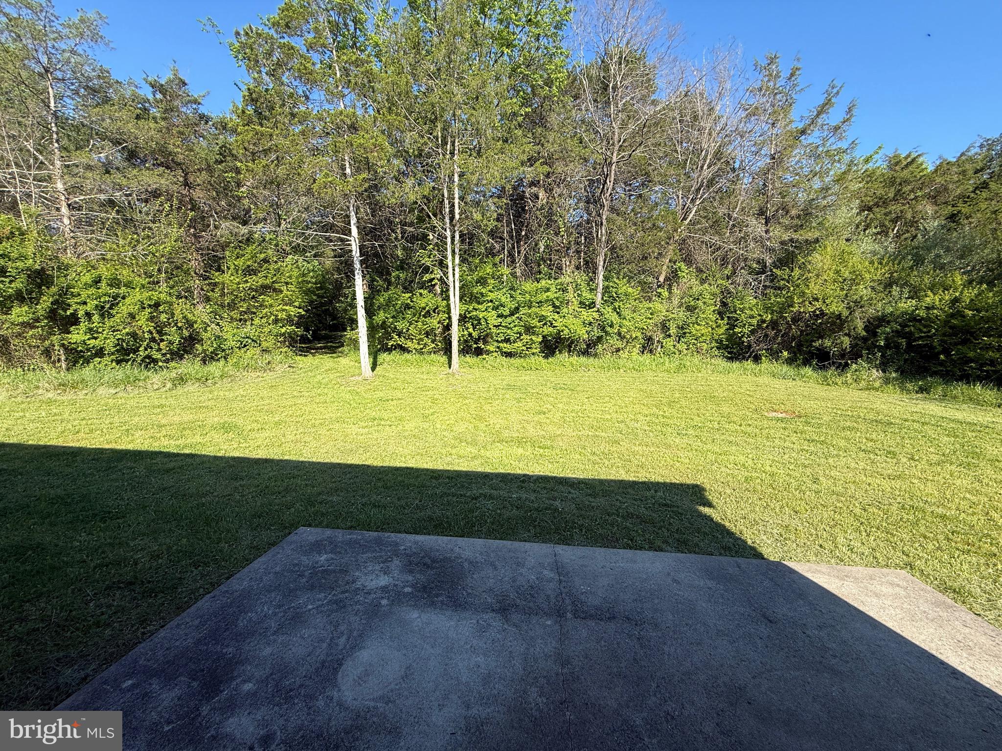 145 Lake Ridge Road Strasburg, VA 22657 - Photo 22 of 23 Perfect area for grilling and entertaining