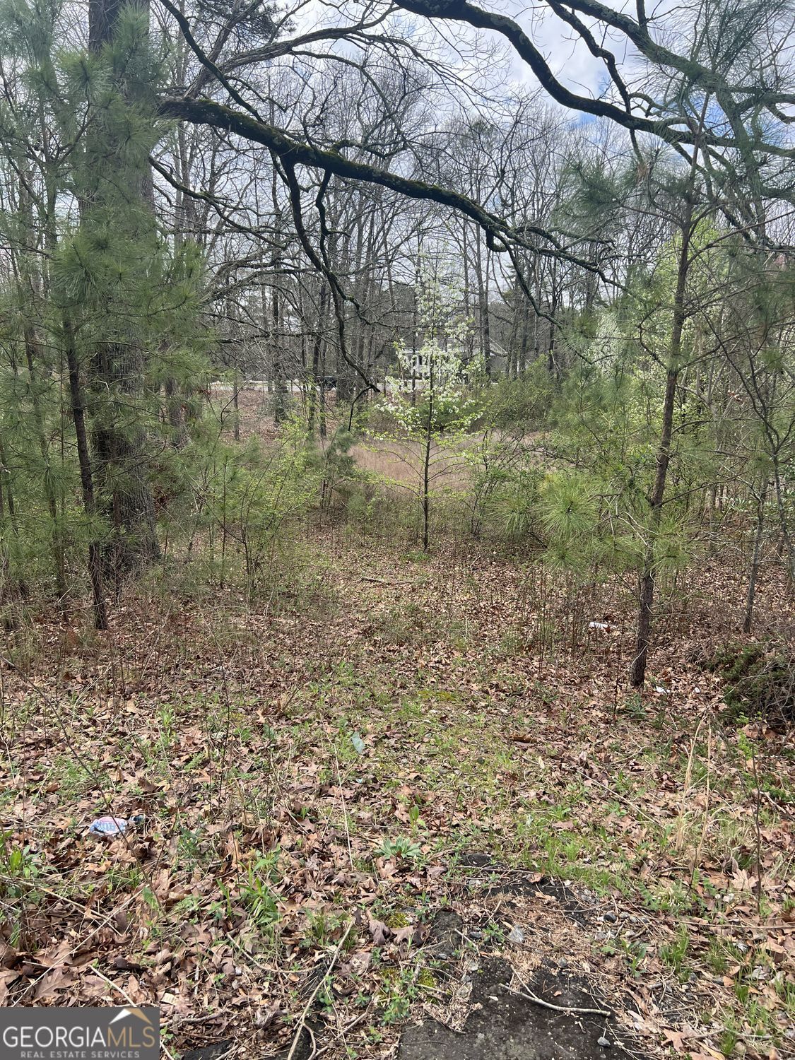 445 East Crossville Road, Unit KENNESAW Roswell, GA 30075 - Photo 10 of 25