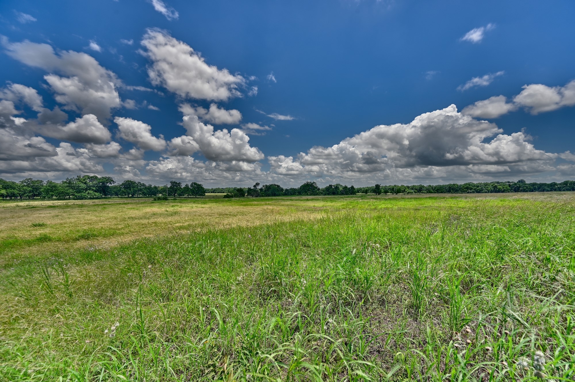 1552 Holub Road Schulenburg, TX 78956 - Photo 45 of 45