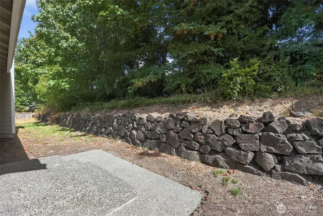 a view of a yard with trees