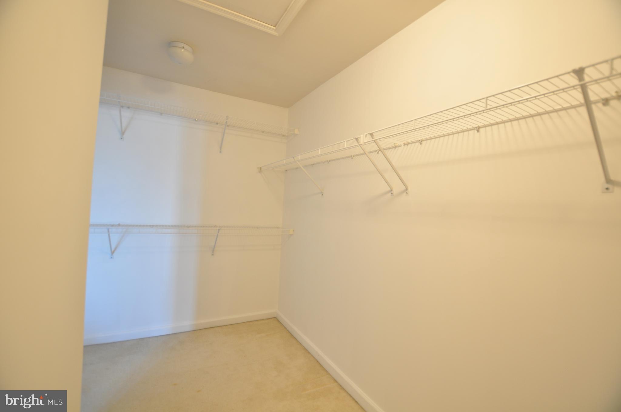 146 Riparian Lane Ranson, WV 25438 - Photo 20 of 42 Massive walk-in master bedroom closet!