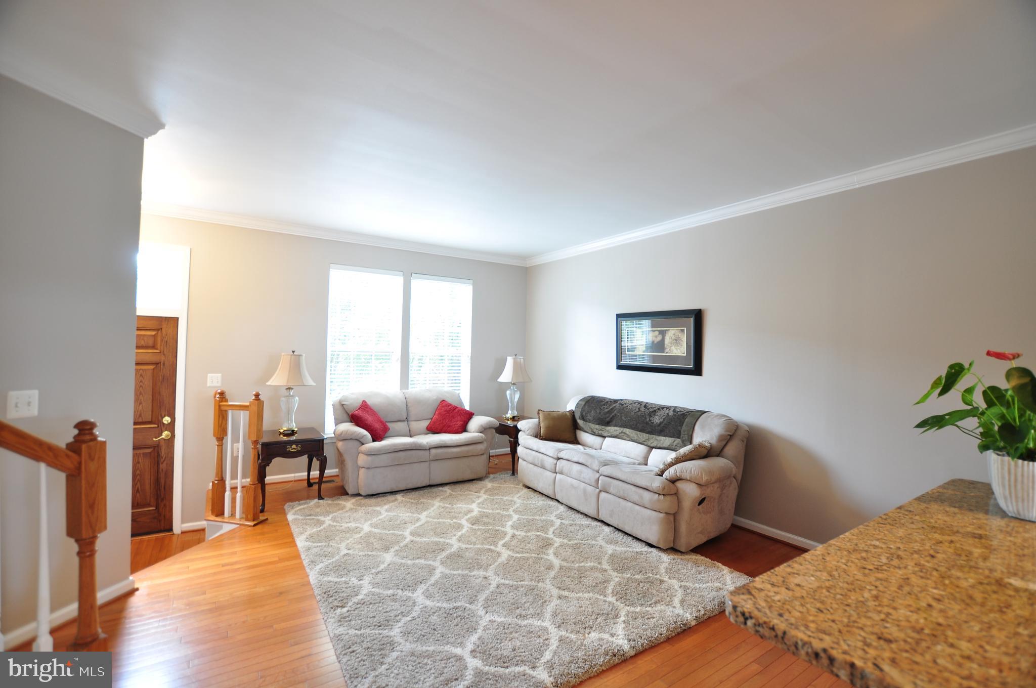 146 Riparian Lane Ranson, WV 25438 - Photo 3 of 42 Living room with crown moulding!