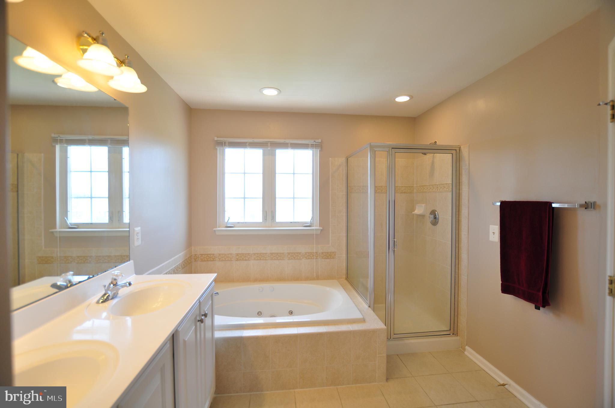 146 Riparian Lane Ranson, WV 25438 - Photo 23 of 42 Double sinks, jacuzzi, separate shower!