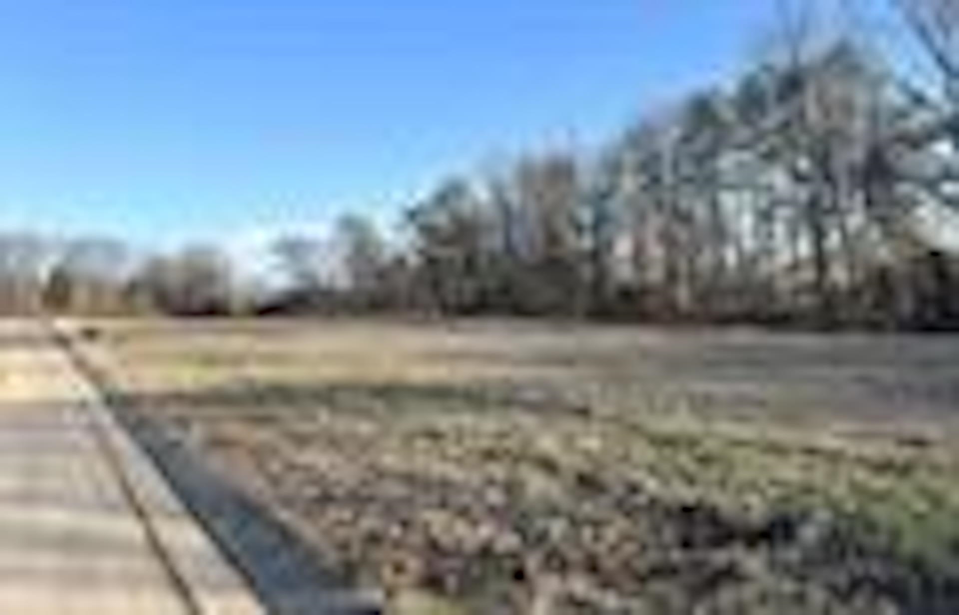 55 York Commons Street Ripley, TN 38063 - Photo 1 of 2