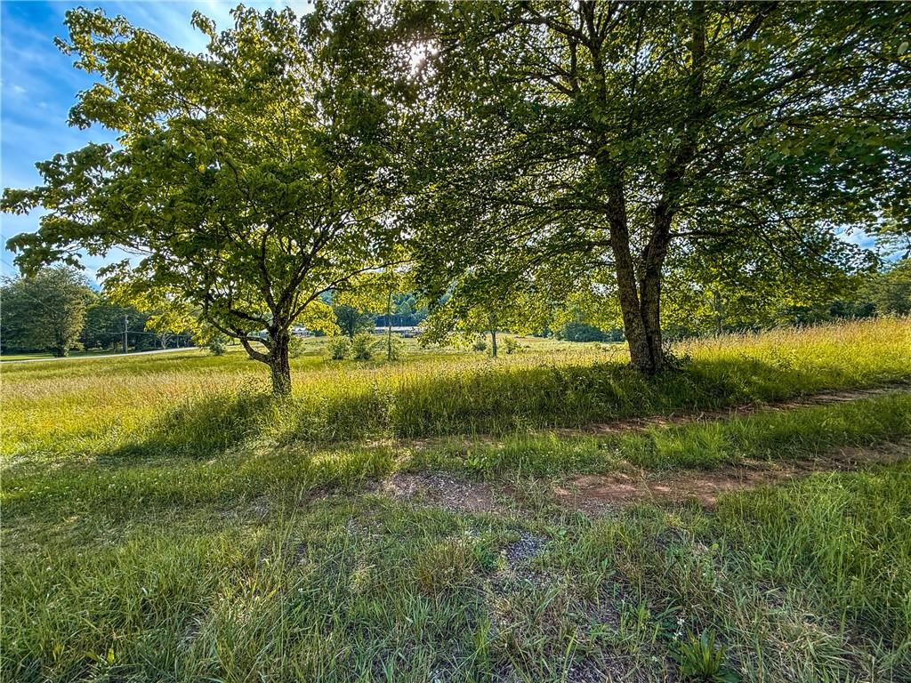 239 Glen Elliott Road Suches, GA 30572 - Photo 7 of 32
