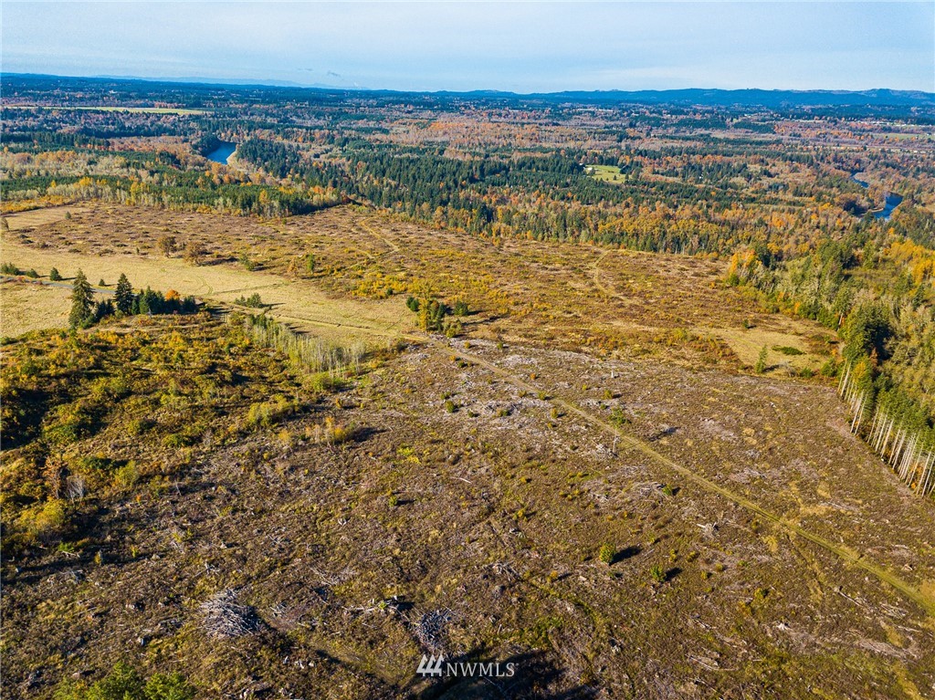 -xxx Evans Road Toledo, WA 98591 - Photo 11 of 25 Gallery Image 11