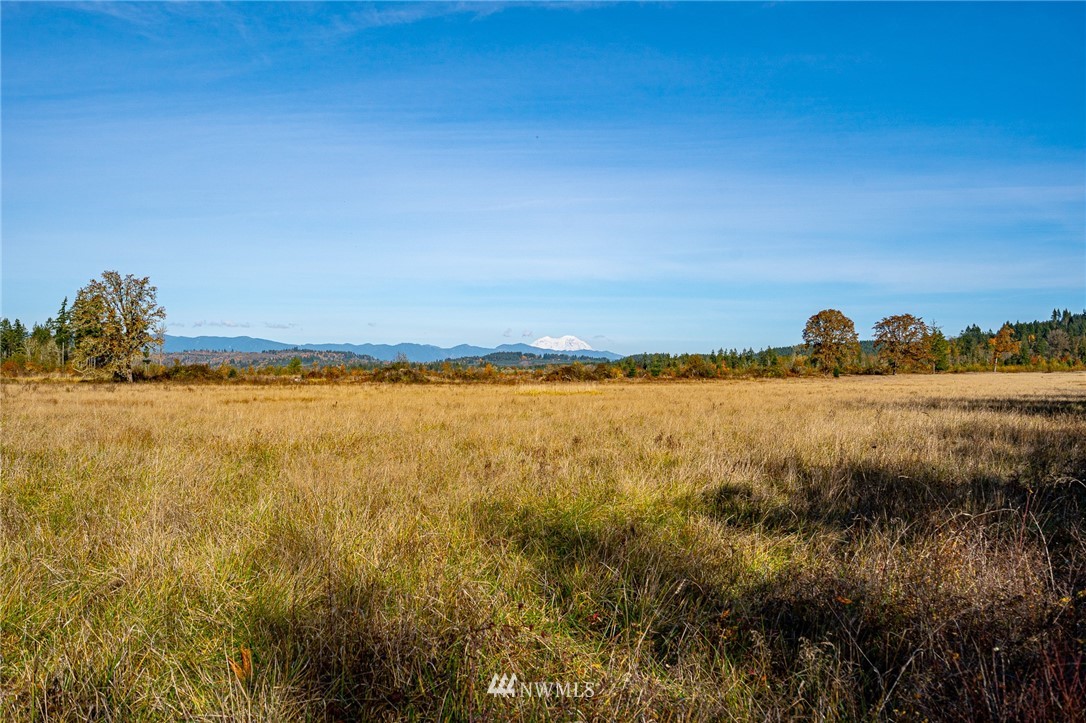 -xxx Evans Road Toledo, WA 98591 - Photo 12 of 25 Gallery Image 12