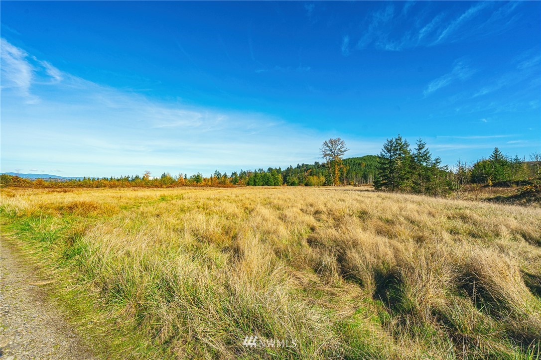 -xxx Evans Road Toledo, WA 98591 - Photo 13 of 25 Gallery Image 13