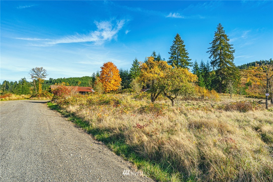 -xxx Evans Road Toledo, WA 98591 - Photo 14 of 25 Gallery Image 14