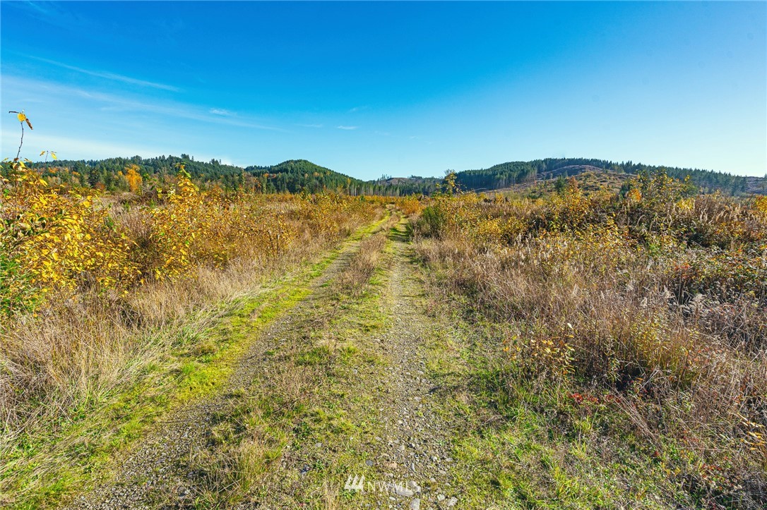 -xxx Evans Road Toledo, WA 98591 - Photo 16 of 25 Gallery Image 16