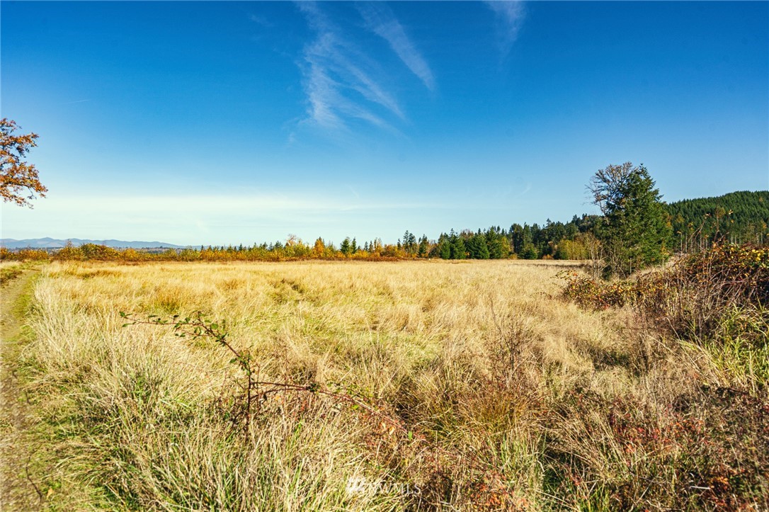 -xxx Evans Road Toledo, WA 98591 - Photo 18 of 25 Gallery Image 18